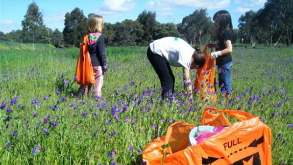 Keep Australia Beautiful National Litter Index