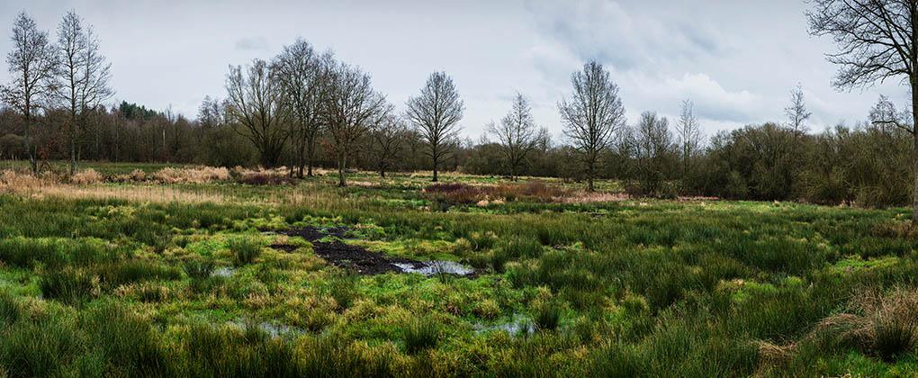 De initiatieven van Coca-Cola voor duurzaam waterbeheer