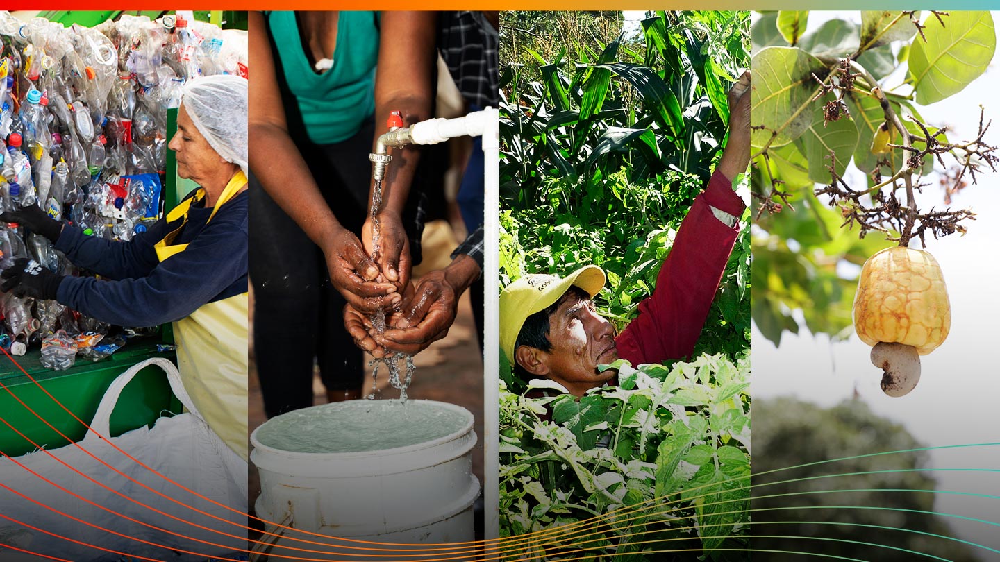 Image divided into 4 equal parts. The first shows a woman recycling bottles, the second two people washing their hands, the third a collector and the fourth fruit from a tree.