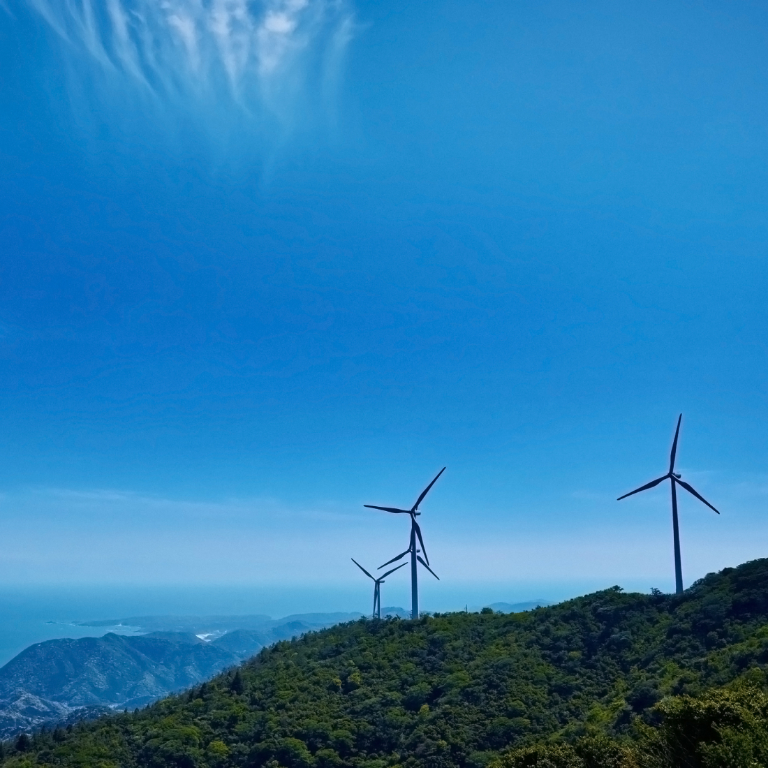 写真：青空の下、海を見渡す丘に立つ三つの風力発電機。