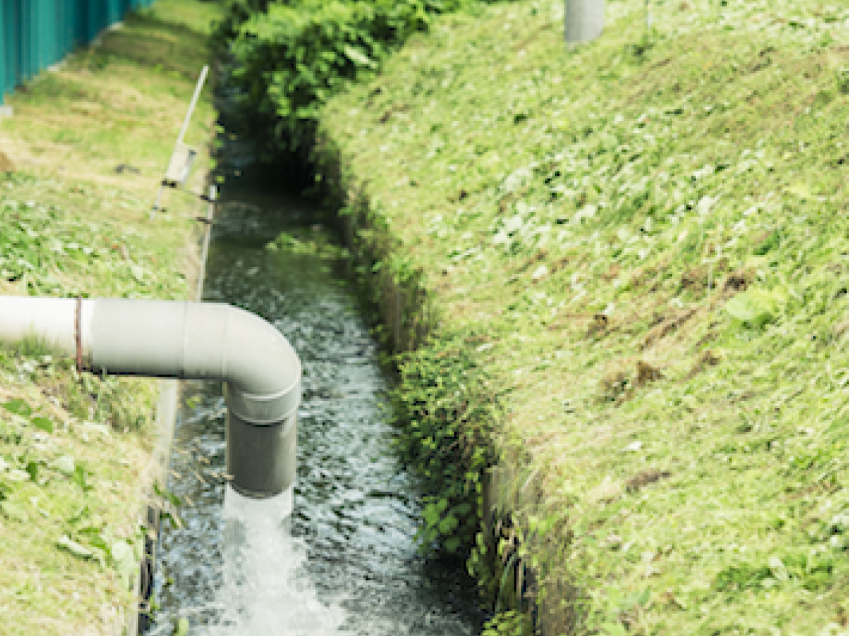 写真：工場の排水の様子