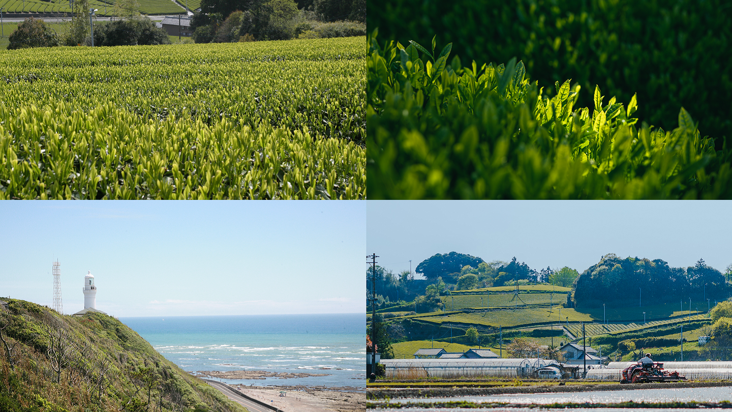 静岡県御前崎市と掛川市の画像