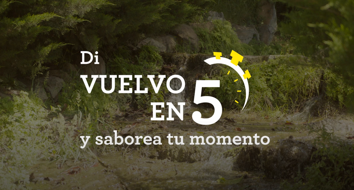 Imágen de un bosque con el texto "Dí vuelvo en 5 y saborea tu momento"