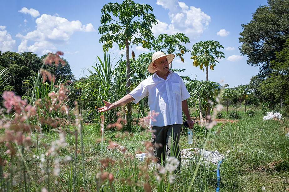 Persona caminando por un campo con arboles de fondo