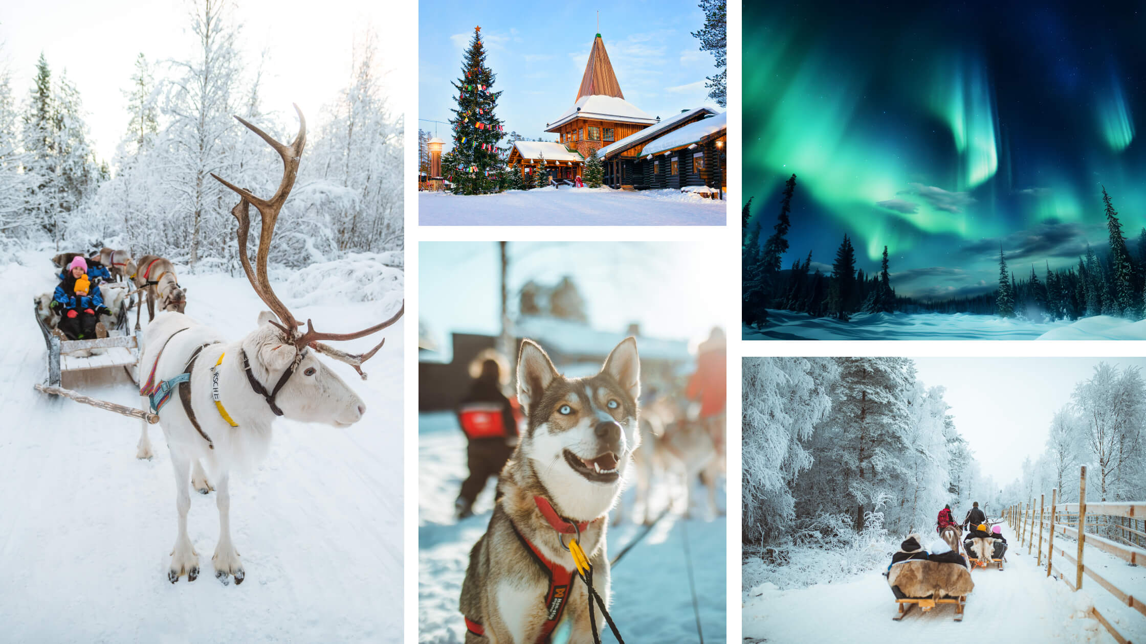 a collage of images with a reindeer and sled, a cbin, a dog, the aurora, and more sleds with snowy backgrounds