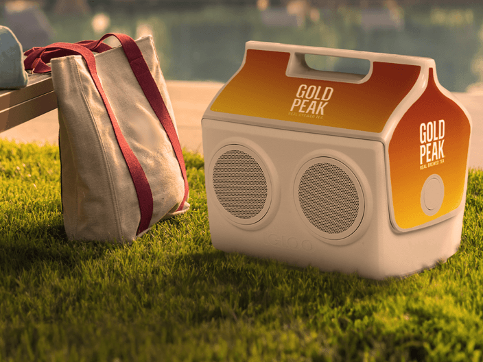 Gold Peak branded speaker cooler